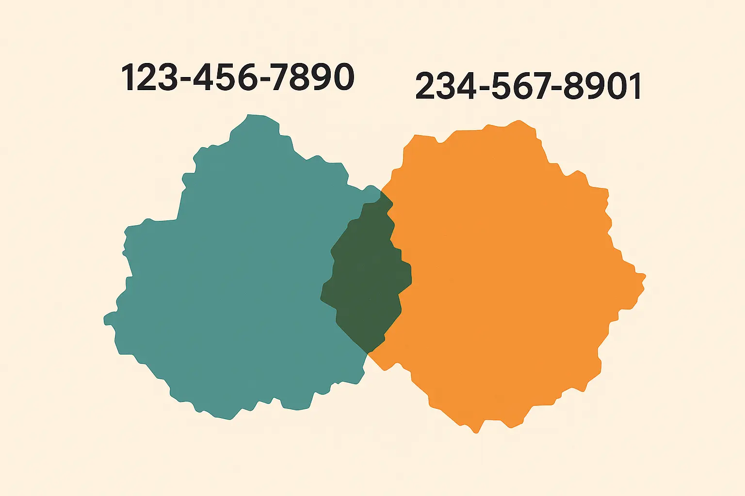 Area Code Overlay System