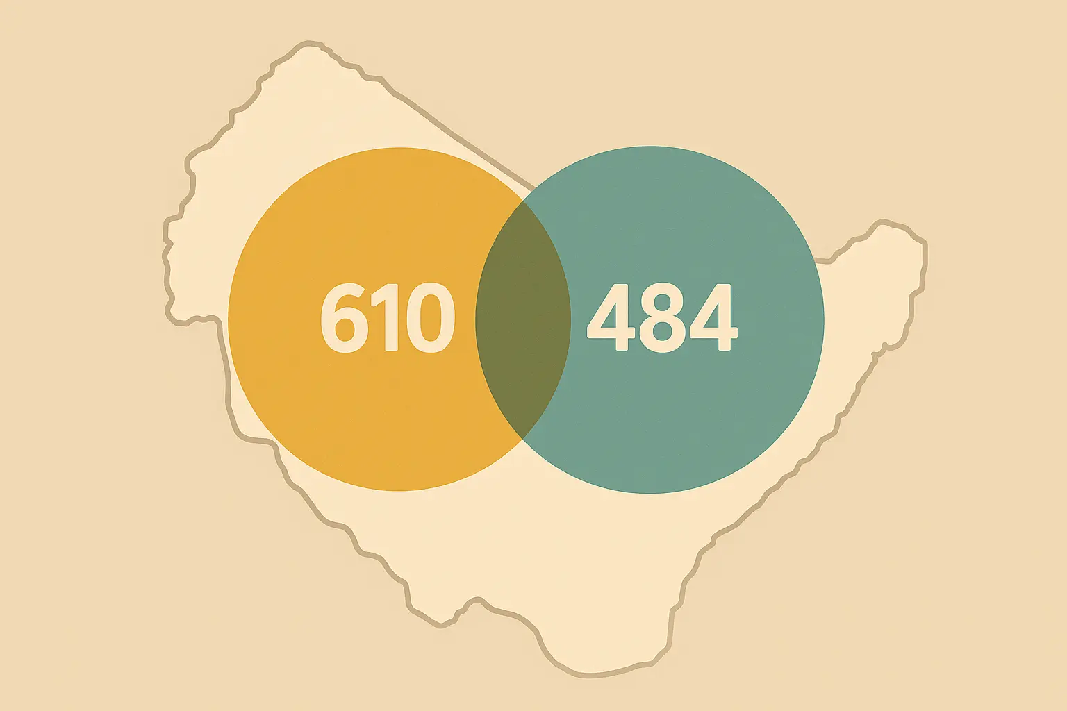 484 Area Code Overlay System